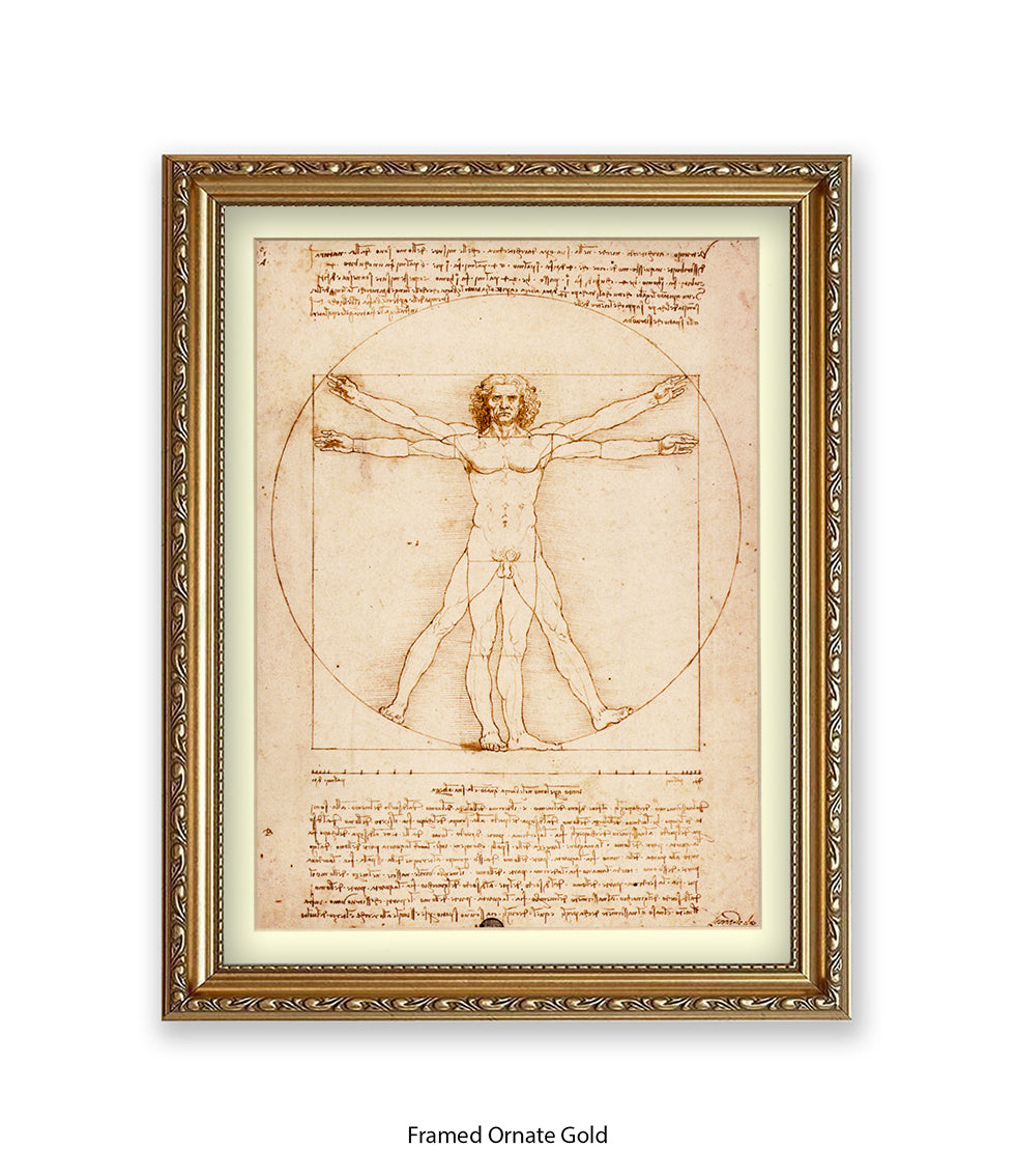 Vitruvian Man Art Print