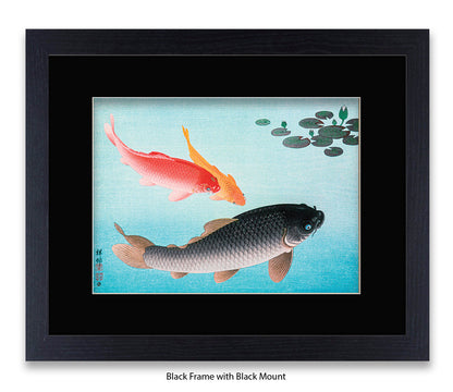 Coy Carp Japanese Art Print