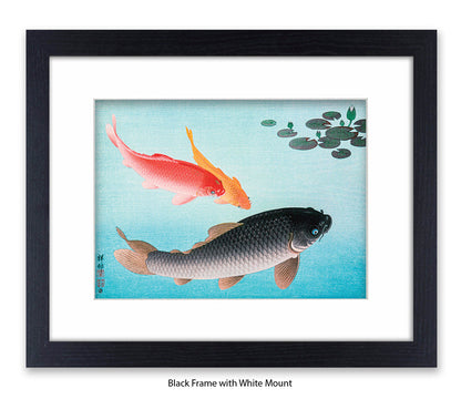 Coy Carp Japanese Art Print
