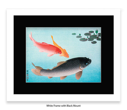 Coy Carp Japanese Art Print