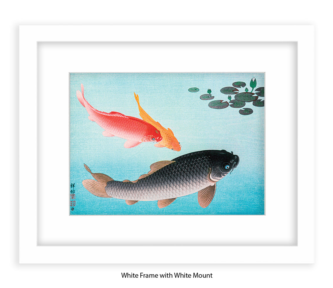 Coy Carp Japanese Art Print