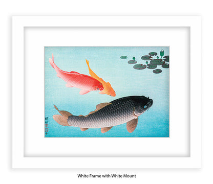 Coy Carp Japanese Art Print