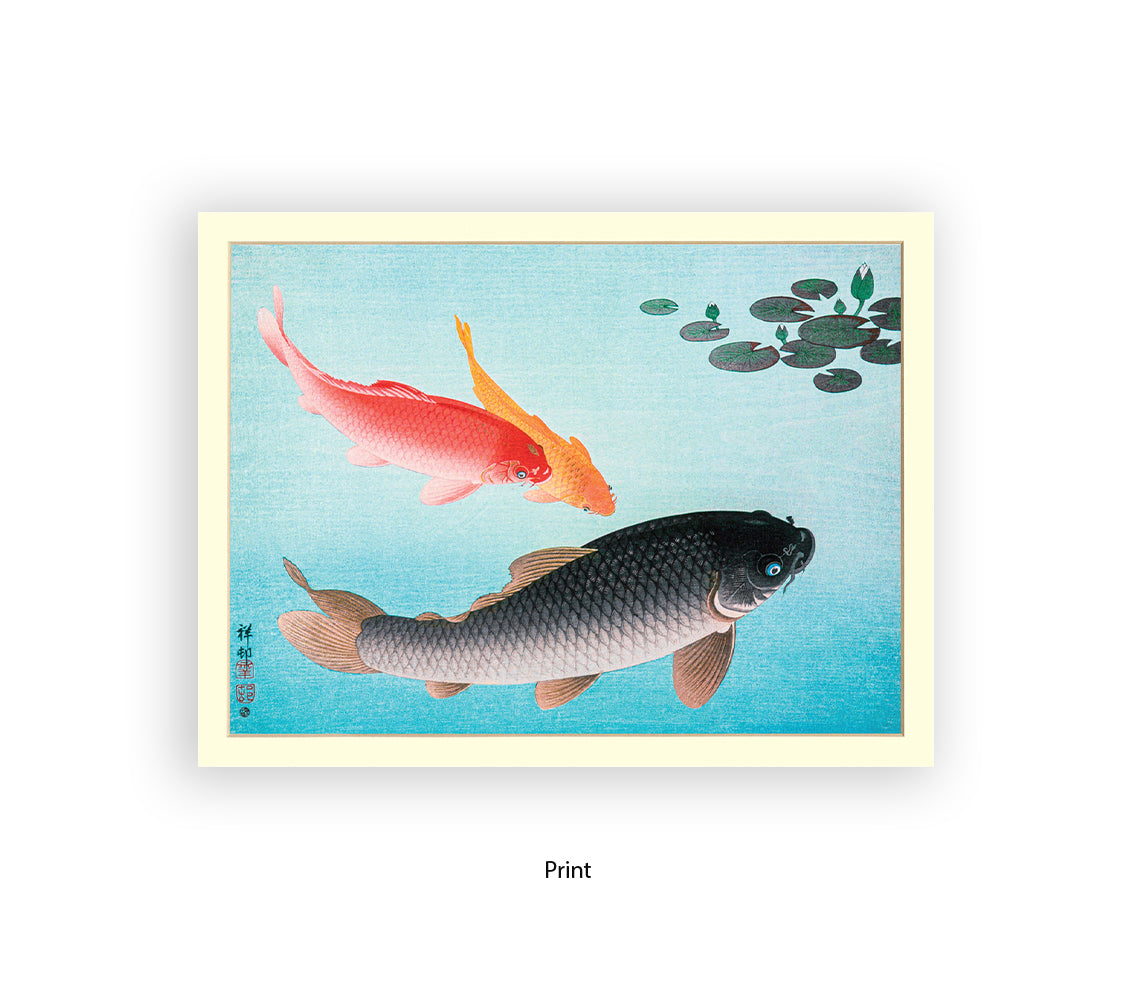 Coy Carp Japanese Art Print