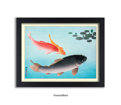 Coy Carp Japanese Art Print