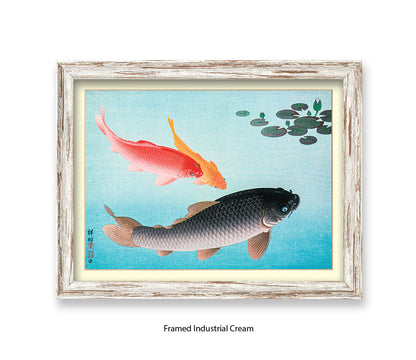 Coy Carp Japanese Art Print