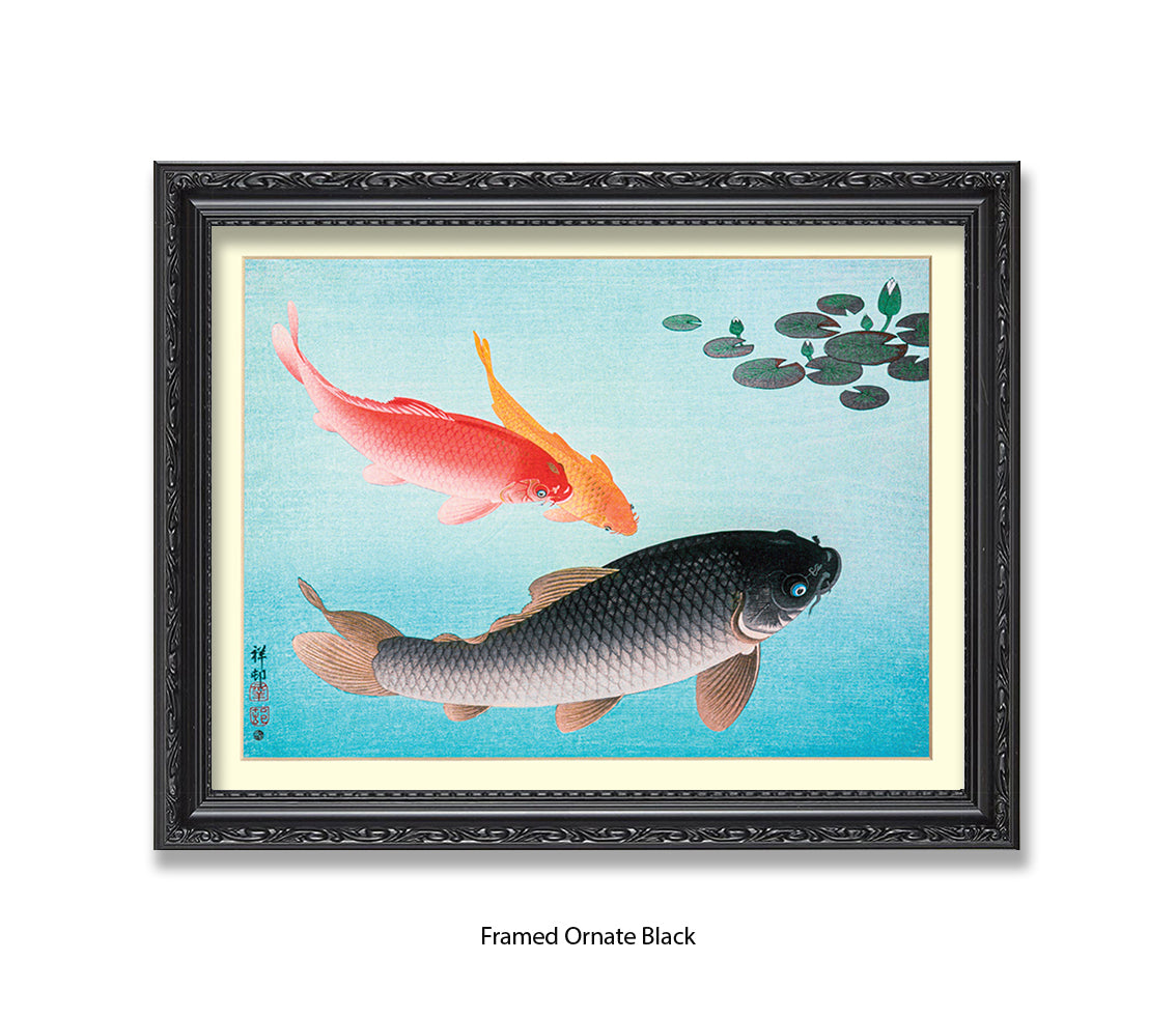 Coy Carp Japanese Art Print