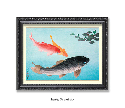 Coy Carp Japanese Art Print