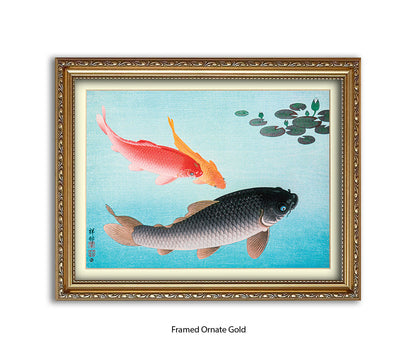 Coy Carp Japanese Art Print
