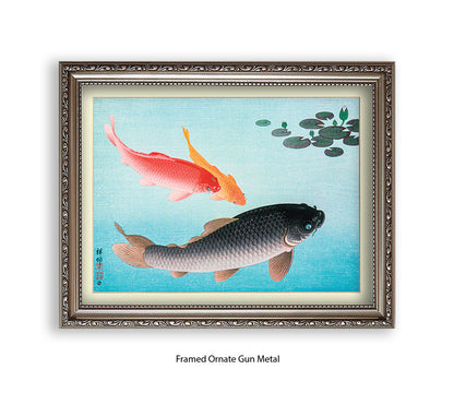 Coy Carp Japanese Art Print