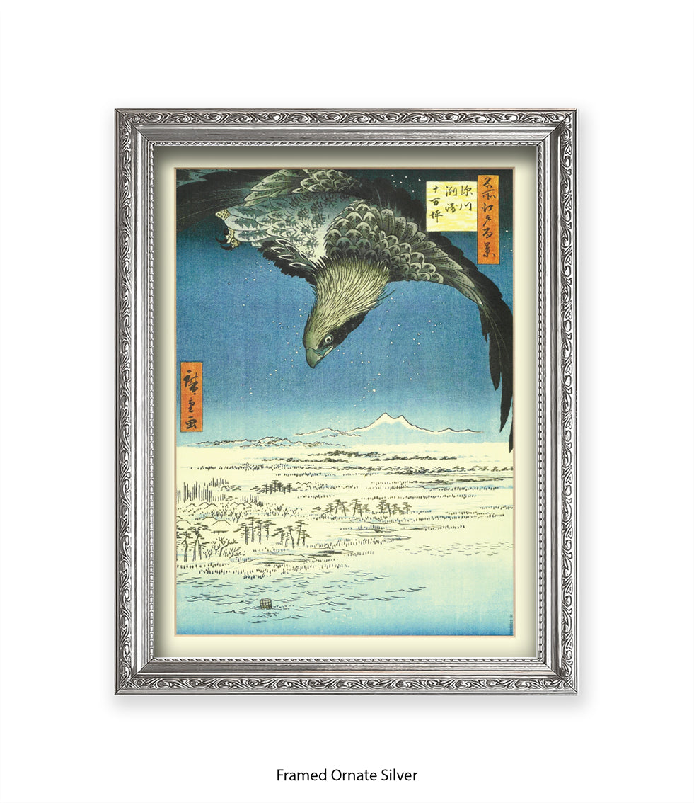 Eagle - Bird Art Print