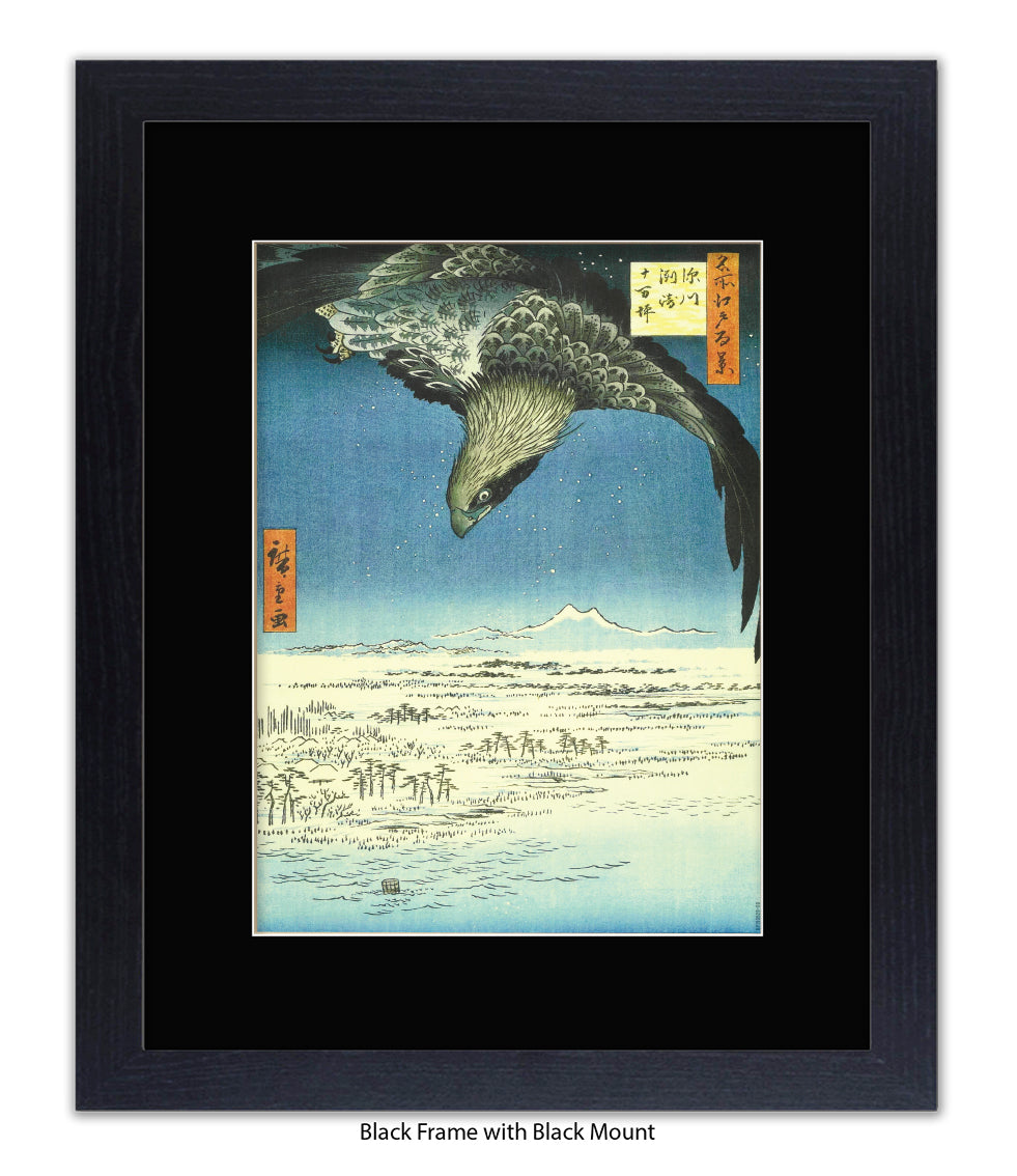 Eagle - Bird Art Print