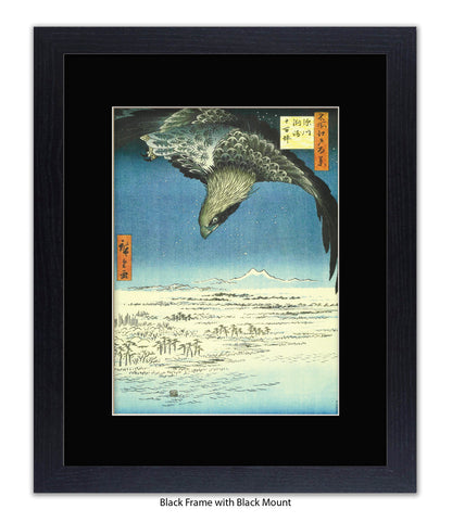 Eagle - Bird Art Print