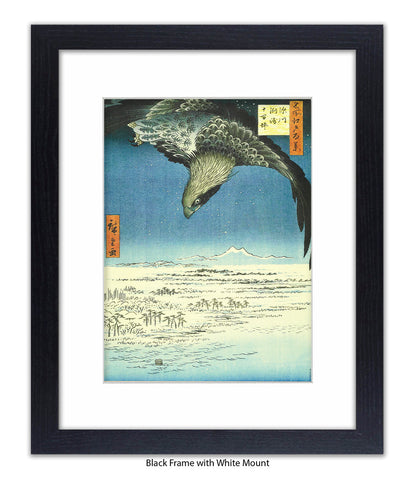 Eagle - Bird Art Print