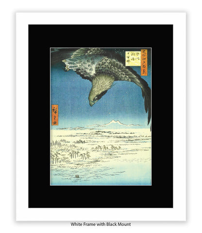 Eagle - Bird Art Print