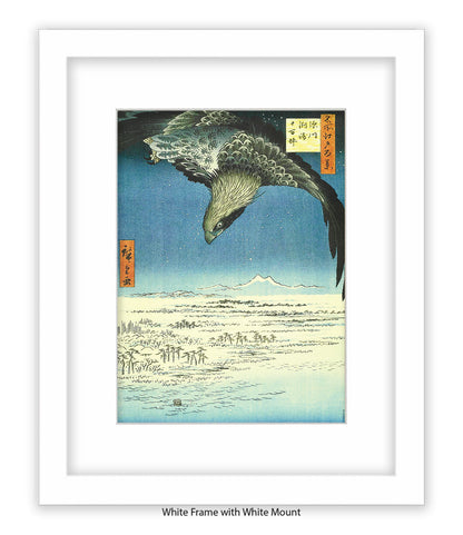 Eagle - Bird Art Print