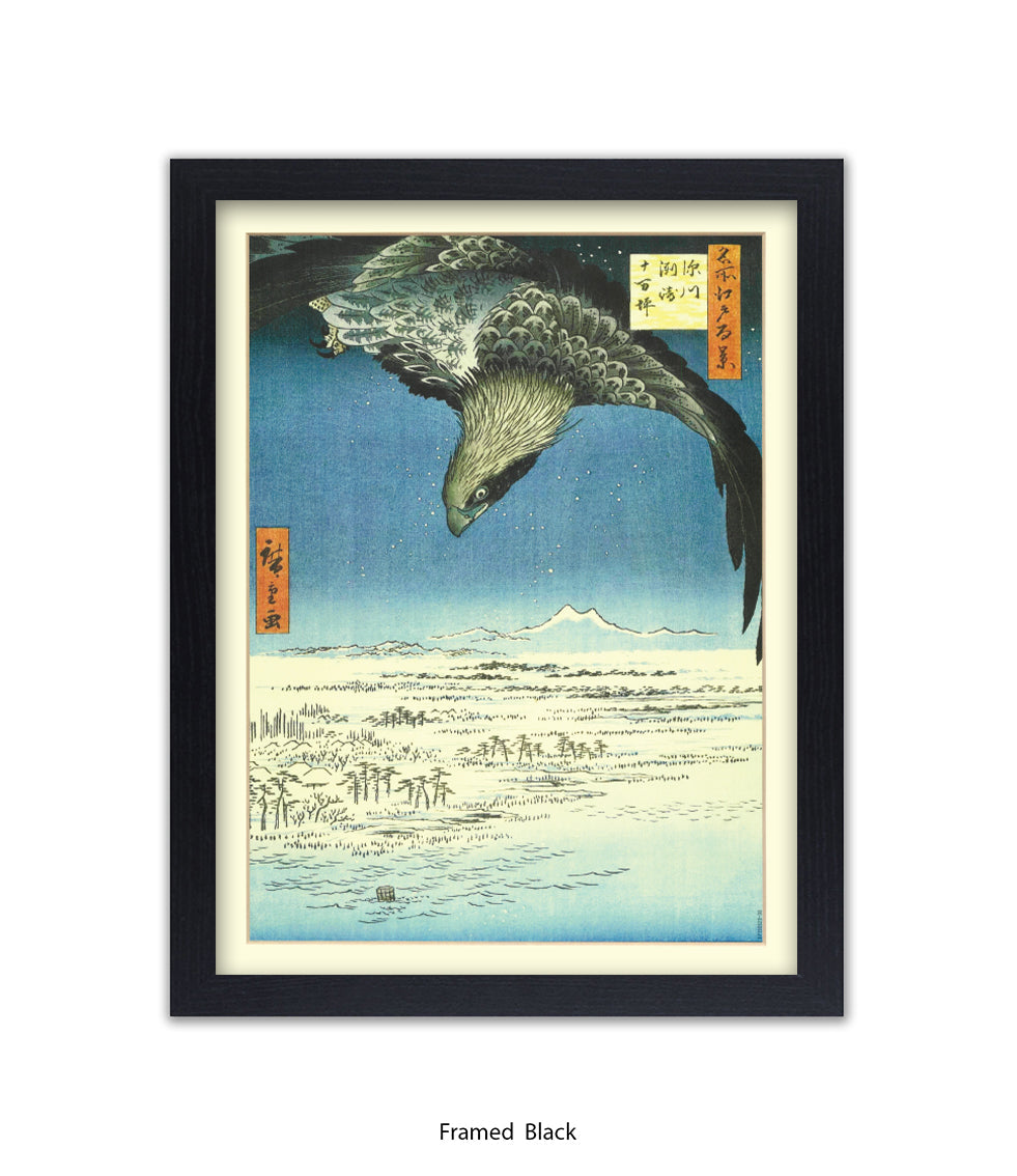 Eagle - Bird Art Print