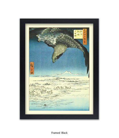 Eagle - Bird Art Print