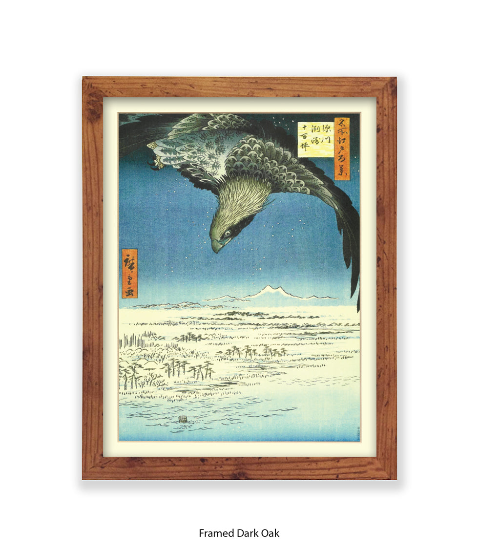 Eagle - Bird Art Print