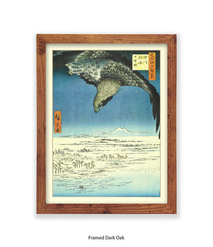 Eagle - Bird Art Print