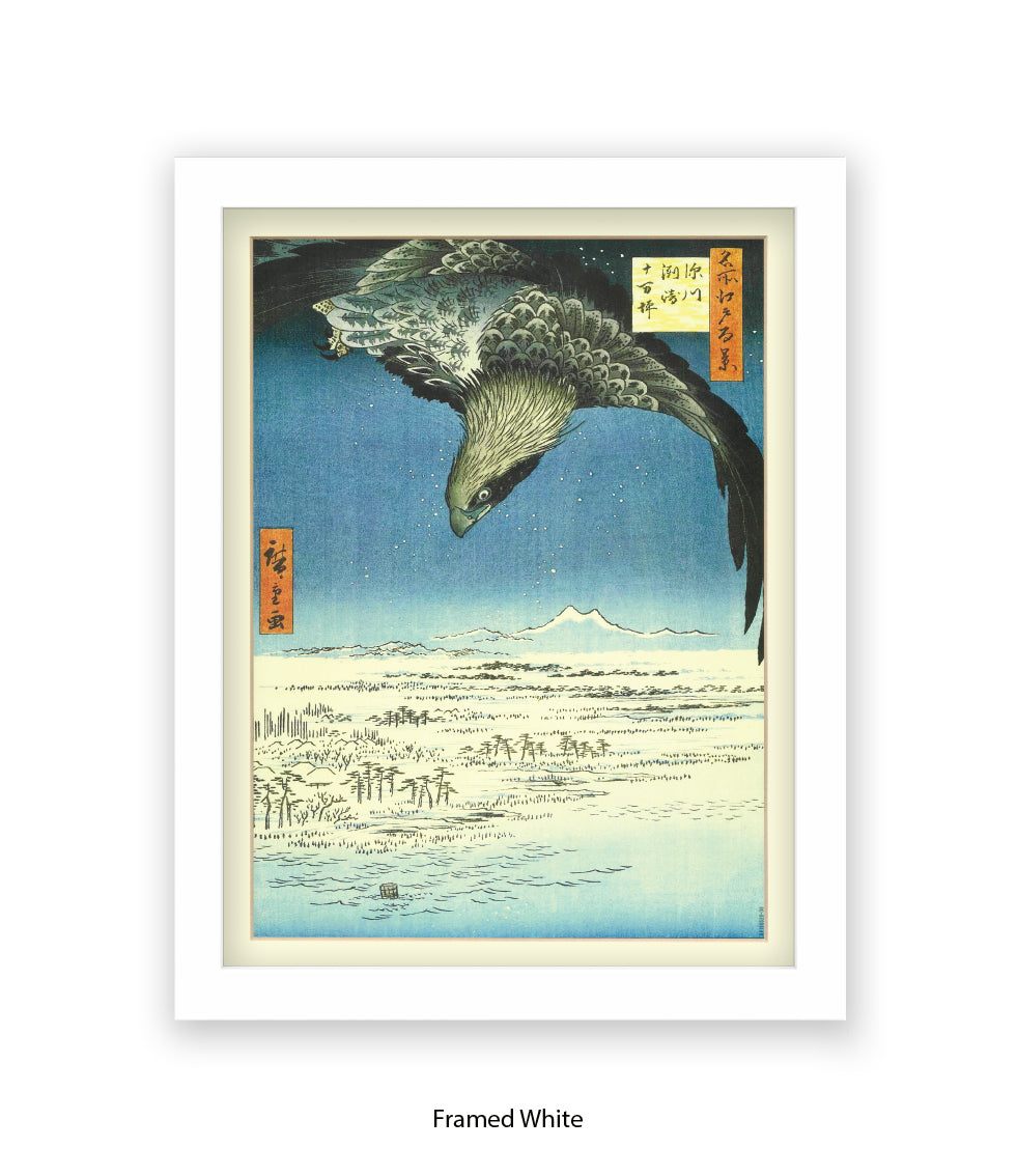 Eagle - Bird Art Print