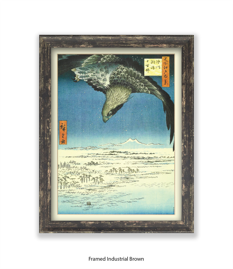 Eagle - Bird Art Print