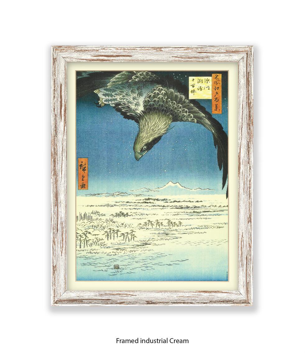 Eagle - Bird Art Print