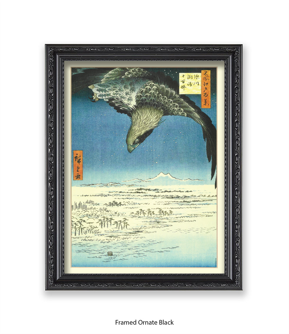 Eagle - Bird Art Print