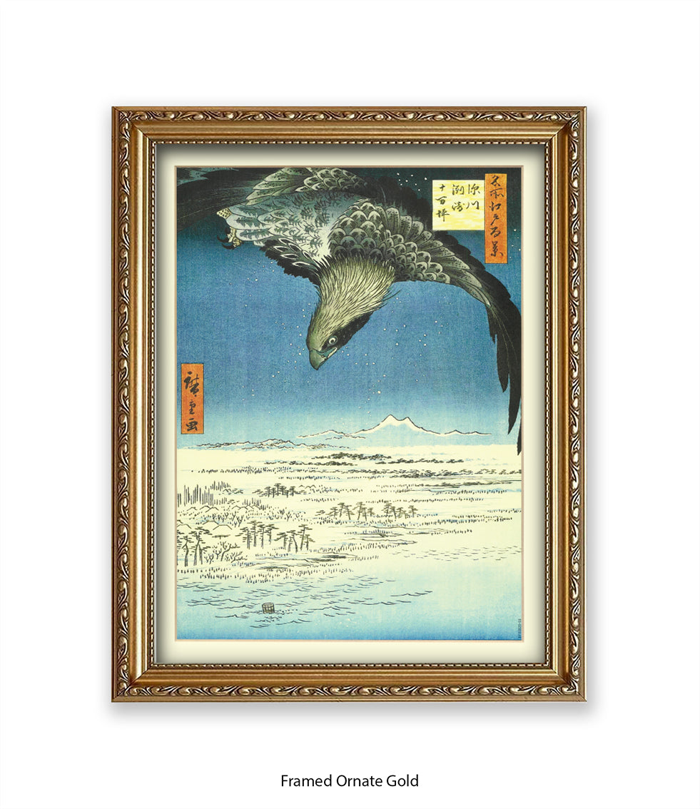 Eagle - Bird Art Print