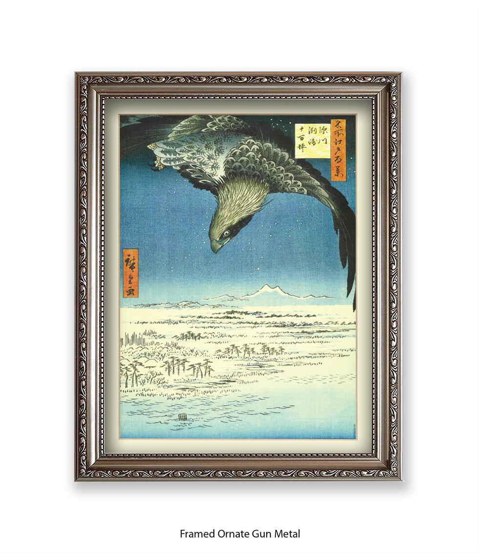 Eagle - Bird Art Print