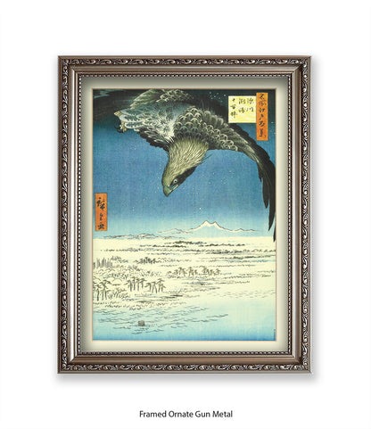 Eagle - Bird Art Print