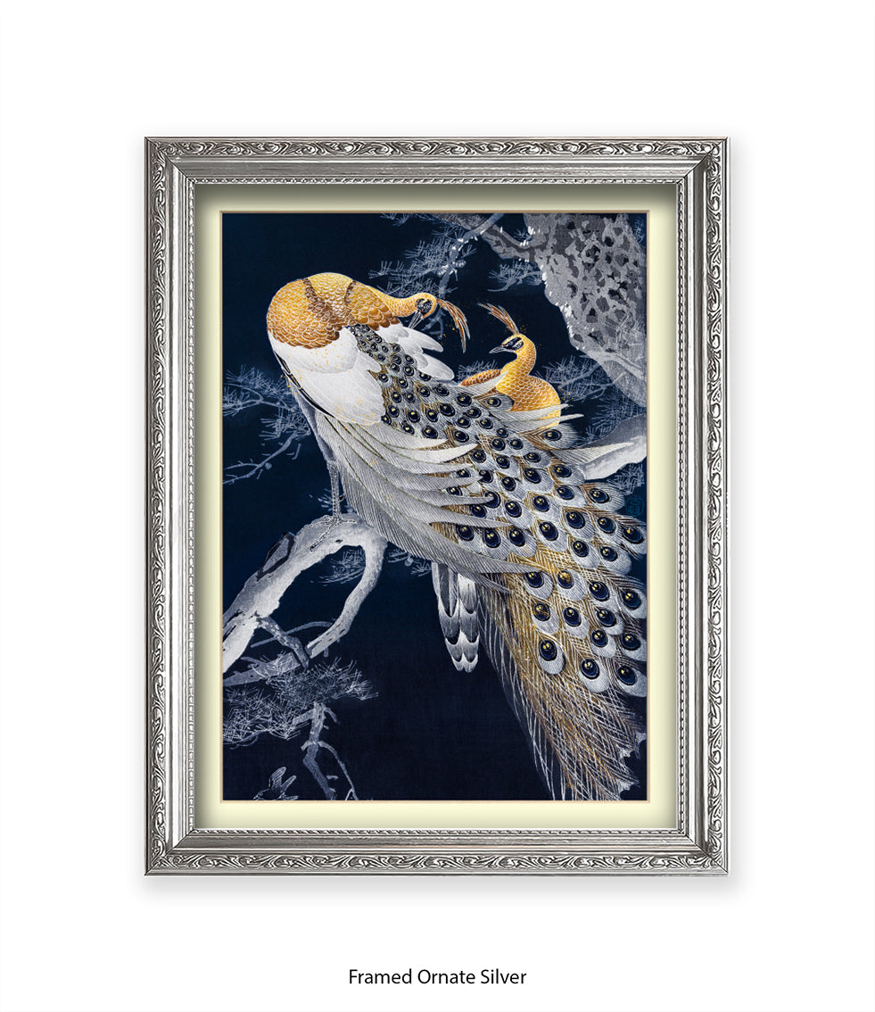 Peacocks Art Print
