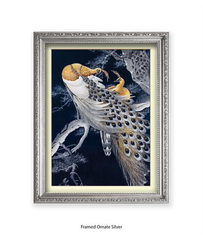Peacocks Art Print