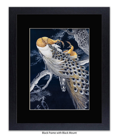 Peacocks Art Print
