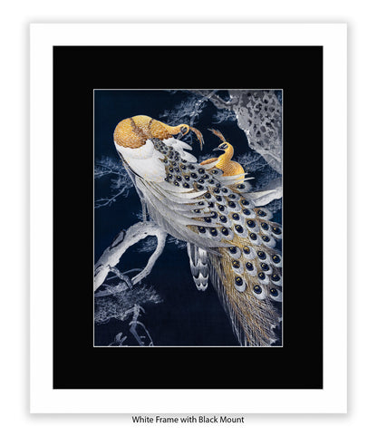 Peacocks Art Print