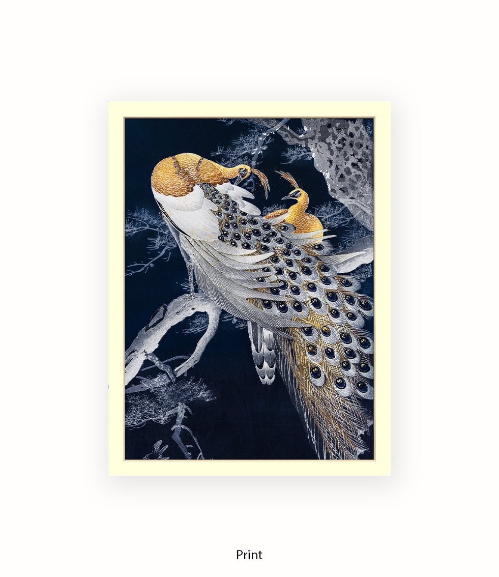 Peacocks Art Print