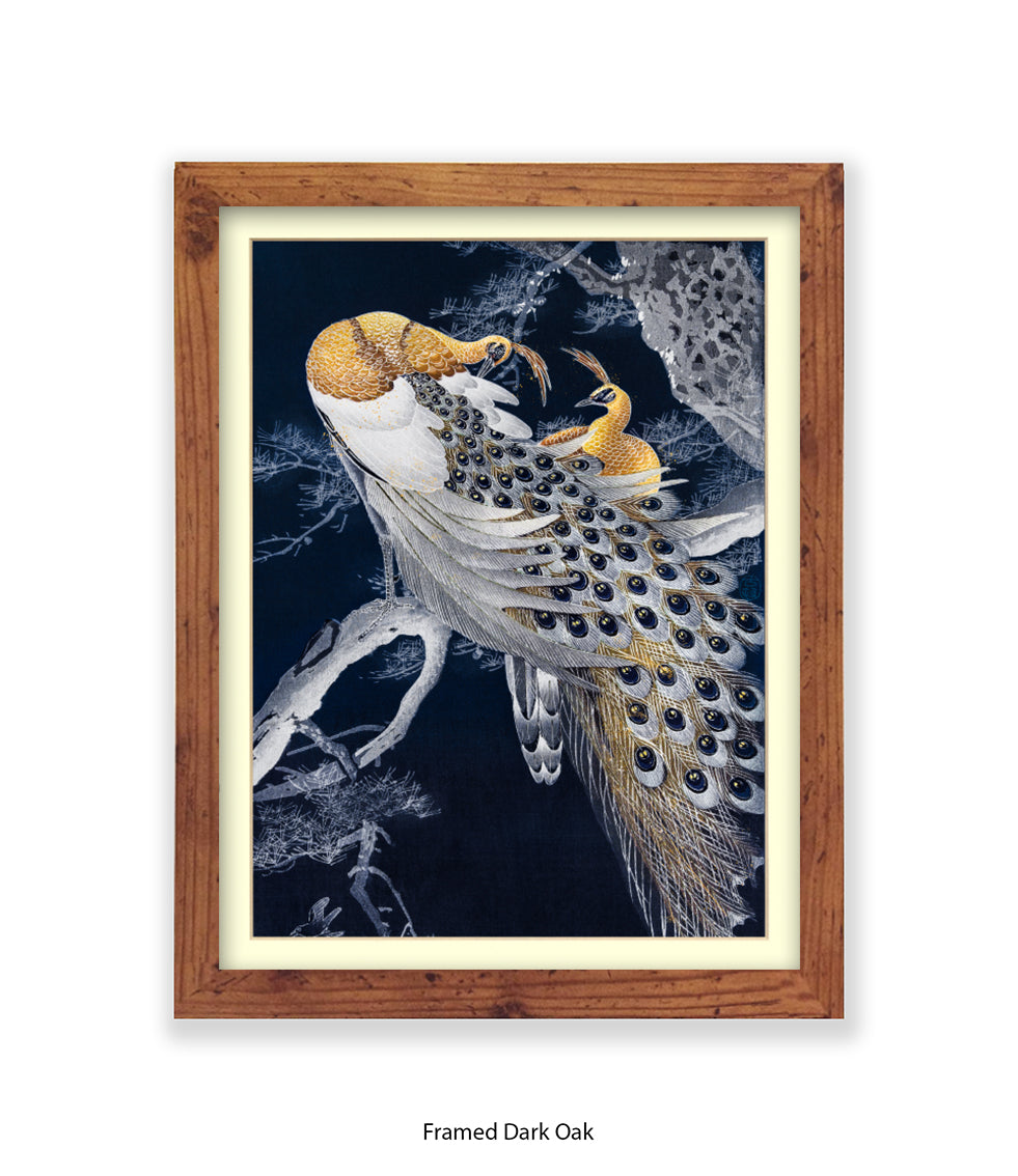 Peacocks Art Print