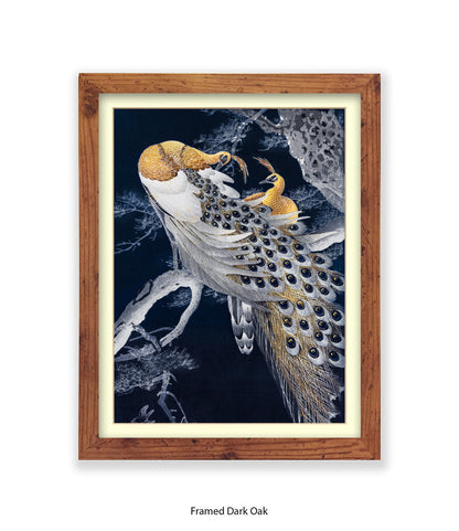 Peacocks Art Print