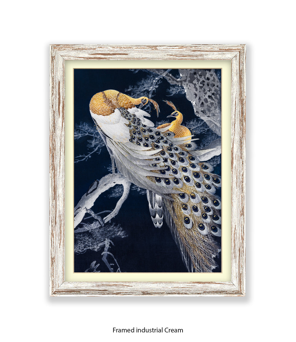 Peacocks Art Print