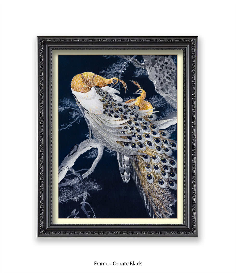 Peacocks Art Print