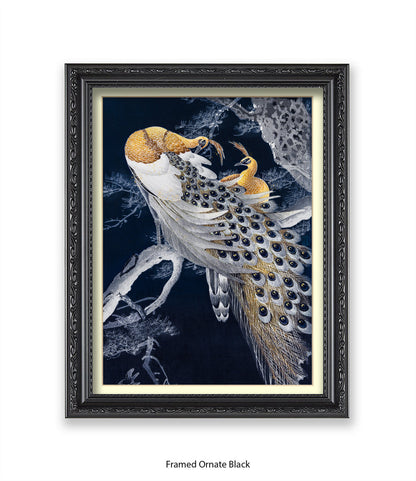 Peacocks Art Print