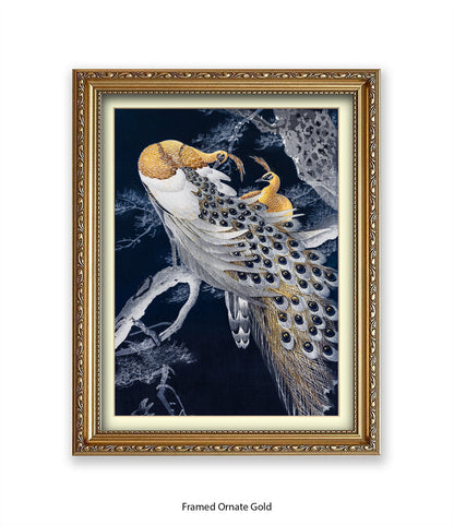 Peacocks Art Print