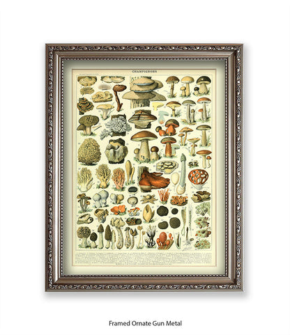 Champignons - 1 to 69 Art Print