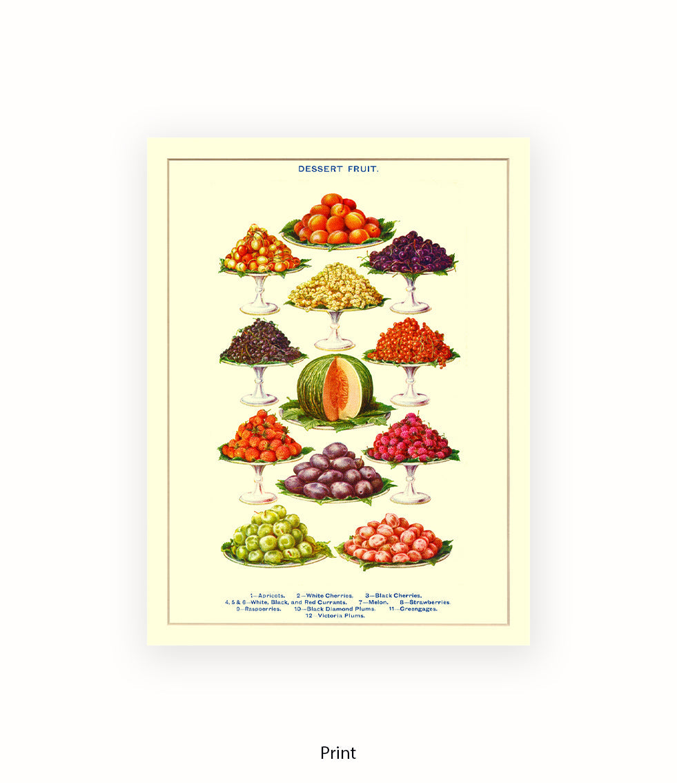 Desert Fruit Art Print