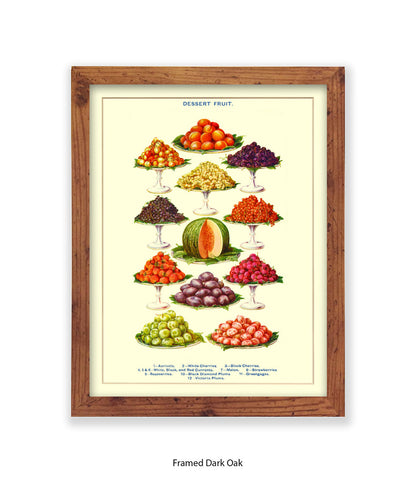 Desert Fruit Art Print