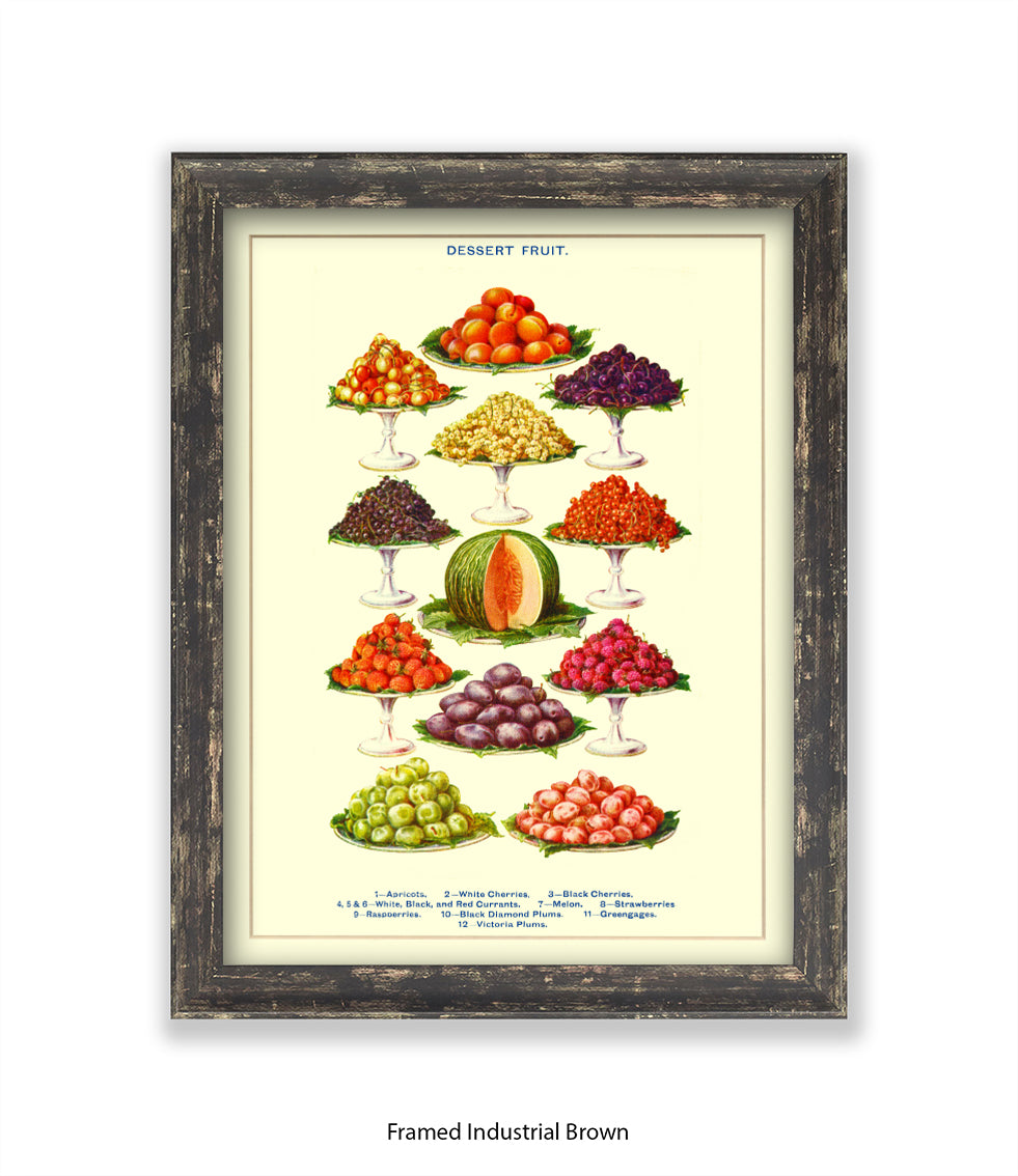 Desert Fruit Art Print