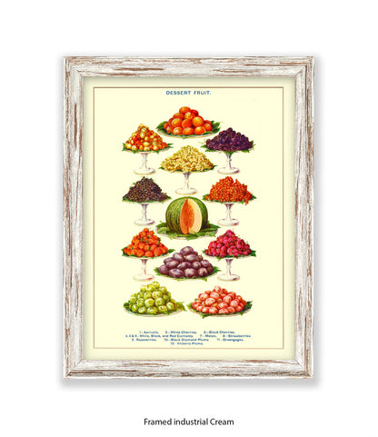 Desert Fruit Art Print