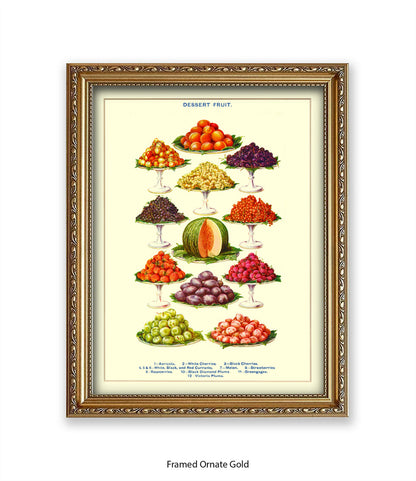 Desert Fruit Art Print