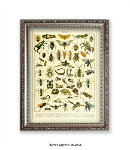 Insects 1 - 50 - Art Print