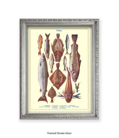 Sea Fish - 1 -12 -  Art Print