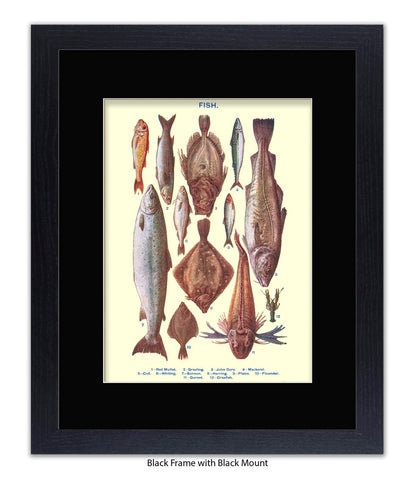 Sea Fish - 1 -12 -  Art Print